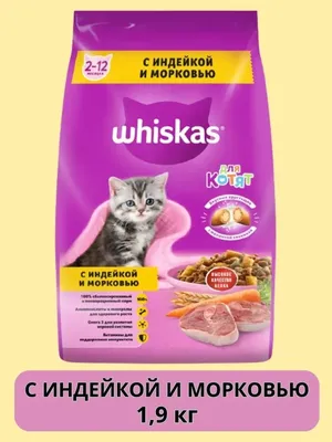 Купить влажный корм для котят Whiskas паштет с курицей, 24 шт по 85 г, цены  на Мегамаркет | Артикул: 100000583370