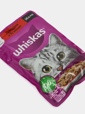 Whiskas Kitten / Сухой корм Вискас Молочные подушечки-паштет для котят  Индейка-Морковь 1,9 кг купить в Москве по низкой цене 750₽ |  интернет-магазин ZooMag.ru