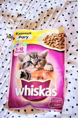 Влажный корм для котят Whiskas от 1 до 12 месяцев, рагу с ягненком, 28 шт  по 75 г - отзывы покупателей на маркетплейсе Мегамаркет | Артикул  товара:600003755484