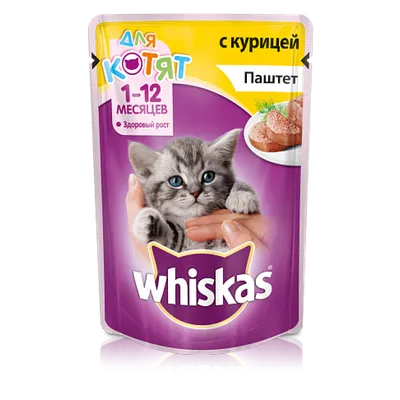 Влажный корм для котят Whiskas, рагу с ягненком, 75 г x 28 - купить с  доставкой по выгодным ценам в интернет-магазине OZON (277802977)