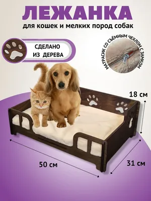 Шампунь (Animal Play) SWEET Ямайский кокос Питательный для кошек и собак,  300мл, купить оптом в Москве, цена, характеристики, описание - Симбио -  ЗооЛэнд