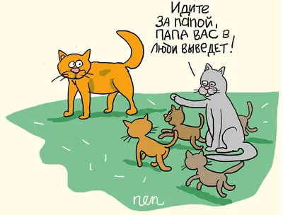 😄😄😄самые смешные и озорные коты 🐈 Подписывайся 👉 @insta_pussies ⠀  Ставь уведомления о новых постах 🔔 ⠀ #кот #коты #котики #кошка #прикол… |  Instagram