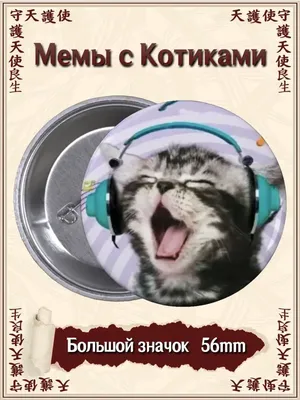 Картина на холсте Смешные коты забавный кот животные (9) 20х30 см - купить  по низкой цене в интернет-магазине OZON (1165574115)