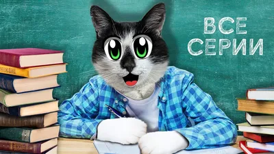 Аватарки Кошки - Интернет-магазин оригинальных запчастей на мобильные  телефоны, планшеты, ноутбуки и прочую электронную технику