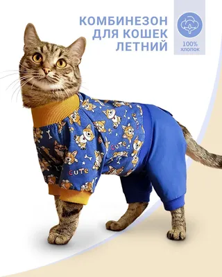 Одежда для кошек \"Толстовка с мехом внутри Найк\" в интернет-магазине  Ярмарка Мастеров по цене 950 ₽ – GJXLZBY | Одежда для питомцев, Бийск -  доставка по России
