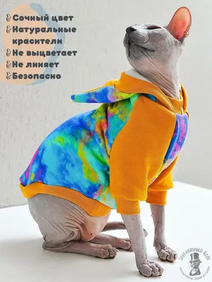 Кофта с рукавом для кота/кошки Style Pets (одежда для котов и кошек) Long  (red139) XS (ID#1691335424), цена: 509 ₴, купить на Prom.ua
