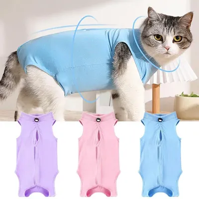 Единая одежда для кошек - ZezeLife