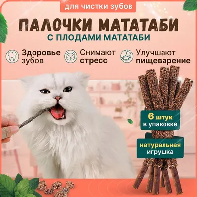 Формула Натурал Super Premium Life (для Кастрированных Котов и  Стерилизованных Кошек) со вкусом Лосося - Adimax. Alimentos para cães e  gatos.