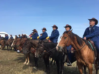 Русское родео». Как ковбои усмиряют бычков и устраивают гонки на лошадях —  FONAR.TV