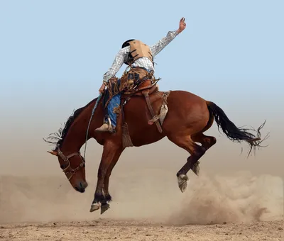 Постер Ковбой на лошади в пыли на стену купить от 290 рублей в арт-галерее  DasArt