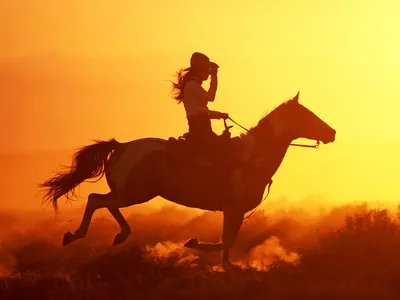 Ковбой Лошадь Западный - Бесплатное фото на Pixabay - Pixabay