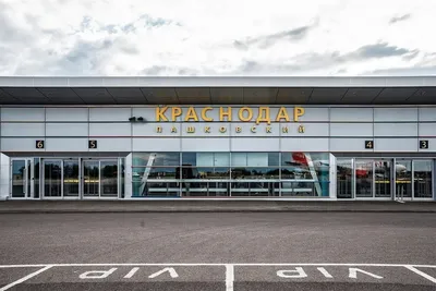 В районе ЖК «Самолёт» Краснодара приступили к строительству школы на 1550  мест :: Krd.ru