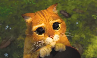 Картина на полотне Биткоиновый кот в крутых очках № s35183 в  ART-holst.com.ua