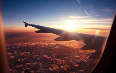 Крыло самолета пролетело над пушистыми облаками в голубом небе | Премиум  Фото