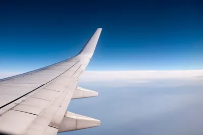 Вид крыла самолета на пасмурно в голубом небе, путешествие в отпуск |  Премиум Фото