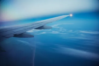 Пилоты рассказали о самых страшных случаях в небе: от молний до животных |  360°