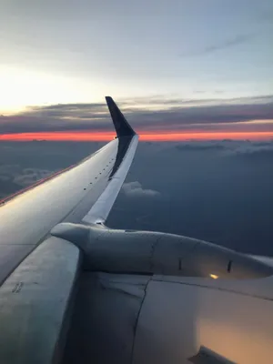 вид крыла самолёта изнутри, летящего над белыми пушистыми облаками в  голубом небе. концепция поездок и воздушного транспорта Стоковое Фото -  изображение насчитывающей коммерчески, муха: 230121984
