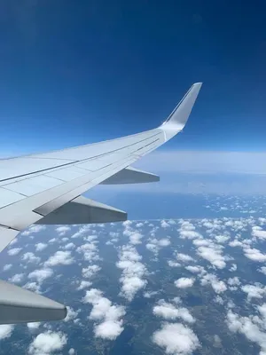 Вид на крыло самолета из окна :: Стоковая фотография :: Pixel-Shot Studio