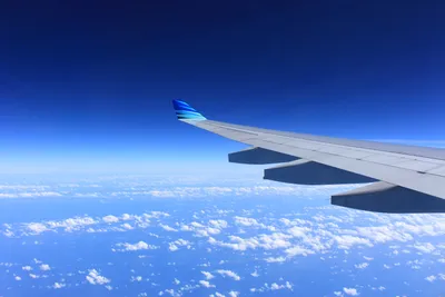 Вид из окна на крыло самолета и лучи солнца на рассвете или заката в полете  на высоте, Stock Footage Включая: самолет и рейс - Envato Elements
