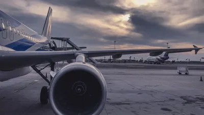 Полеты в Крым - Украина арестовала самолеты за незаконную перевозку людей  на полуостров » Слово и Дело