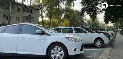 В Таджикистане чиновникам установили лимит на количество служебных легковых  автомобилей | Новости Таджикистана ASIA-Plus