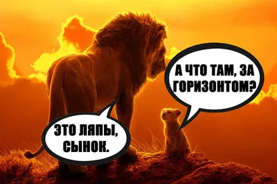 лев и львица любовь видео｜Búsqueda de TikTok