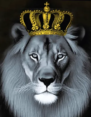 Картинки лев с короной (84 фото)