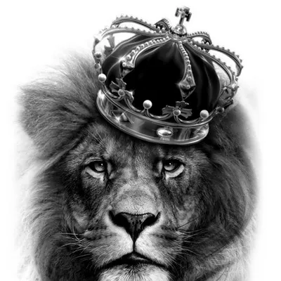 Лев с короной эскиз - 71 фото