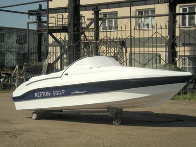 Характеристики лодки «Нептун 450 (2013)»