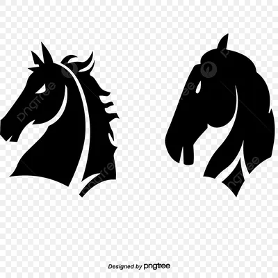 Две Белые Лошади Среди Черных Лошадей — стоковые фотографии и другие  картинки Бегать - Бегать, Белая лошадь, Лошадь - iStock
