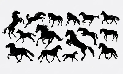 Лошади в графике | Пикабу