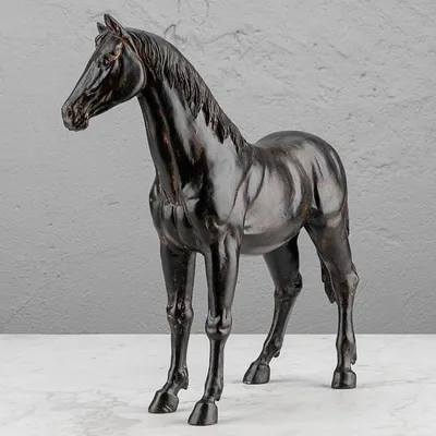 2 Лошадь белая лошадь и черная лошадь. Портрет прекрасных лошадей Стоковое  Изображение - изображение насчитывающей лошадиный, тренировка: 183514867