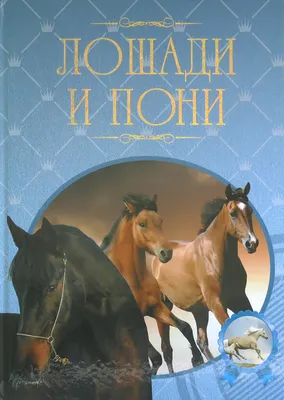 Мини-лошадь — Википедия