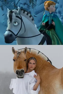 Какими были бы лошадки из мультиков в реальной жизни Ч.2 | Коноблог: Алиса  и Медея | Дзен