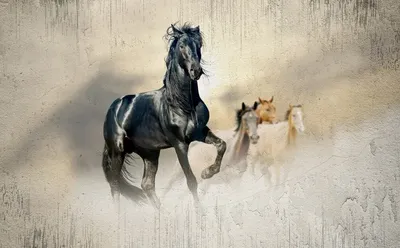 Обои Животные Лошади купить на заказ в интернет-магазине