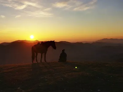 ковбой и лошадь в пустыне сша на закате, время, Пейзаж, животное фон  картинки и Фото для бесплатной загрузки