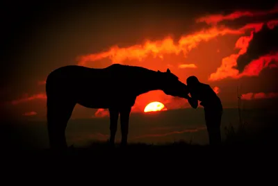 Увидеть закат солнца в горах можно верхом на лошади | Отдых в горах -  Лагонаки.ру | Дзен