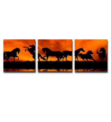 картинки : лошади, Домашнее животное, поле, закат солнца, пасти,  Позвоночный, Лошадь, Пастбище, Млекопитающее, Мустанг лошадь, Степь,  Экорегион, Дикая природа, небо, Грива, ранчо, прерия, Кобыла, Жеребец,  пейзаж, Равнинный, Скотоводство, луг, Выпас ...