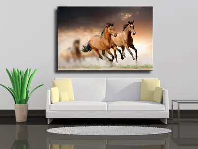 Черный конь на закате: фото, изображения и картинки