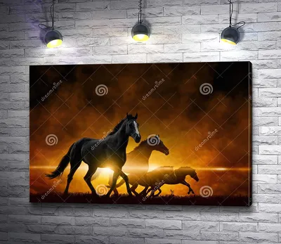 Лошадей В Закат Фотография, картинки, изображения и сток-фотография без  роялти. Image 16829002