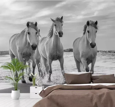 Pin by 🌼𝚌𝚘𝚘𝚔𝚒𝚎🌼 on эстетичные обои с лошадьми ☕ | Horse wallpaper,  Horse background, Horses