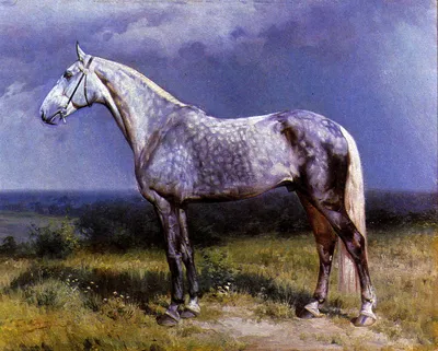 породы лошадей Русская рысистая порода