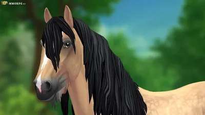 Помесь лошади и пони: как появилась порода Тинкер?» — создано в Шедевруме