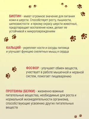 1st Choice корм для щенков всех пород с чувствительной кожей и для здоровья  шерсти, с ягненком, рыбой и рисом - 350 г - купить в Москве | КотМатрос
