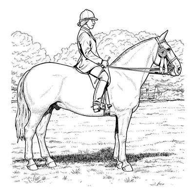 Лошадь Королевская с наездником - купить по выгодной цене | Salzburg crafts