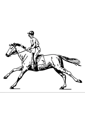 Прыгающая лошадь с наездником