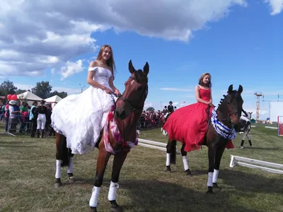 Как проходит самый обычный день лошади в Кремлевской школе верховой езды? |  ВДНХ | Дзен