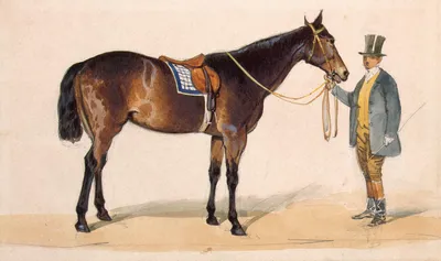 Лошадь Королевская с наездником - купить по выгодной цене | Salzburg crafts
