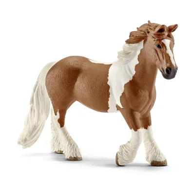 Фигурка SCHLEICH Фиордская лошадь кобыла купить по цене 4295 ₸ в  интернет-магазине Детский мир