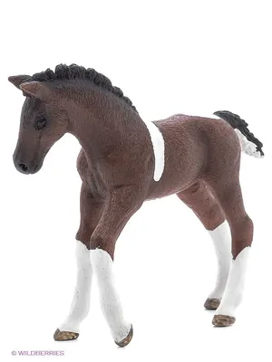 Schleich Лошадь кнабструппер кобыла 13769 — купить в интернет-магазине по  низкой цене на Яндекс Маркете